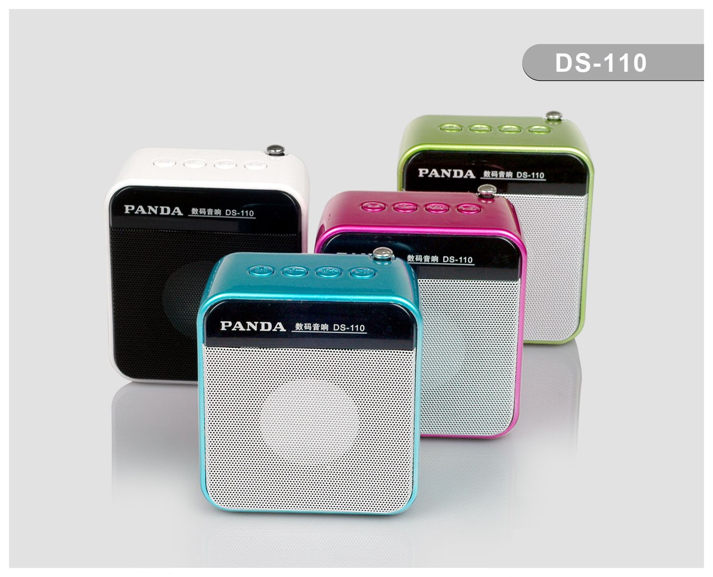 DS-110 Portable digital speaker