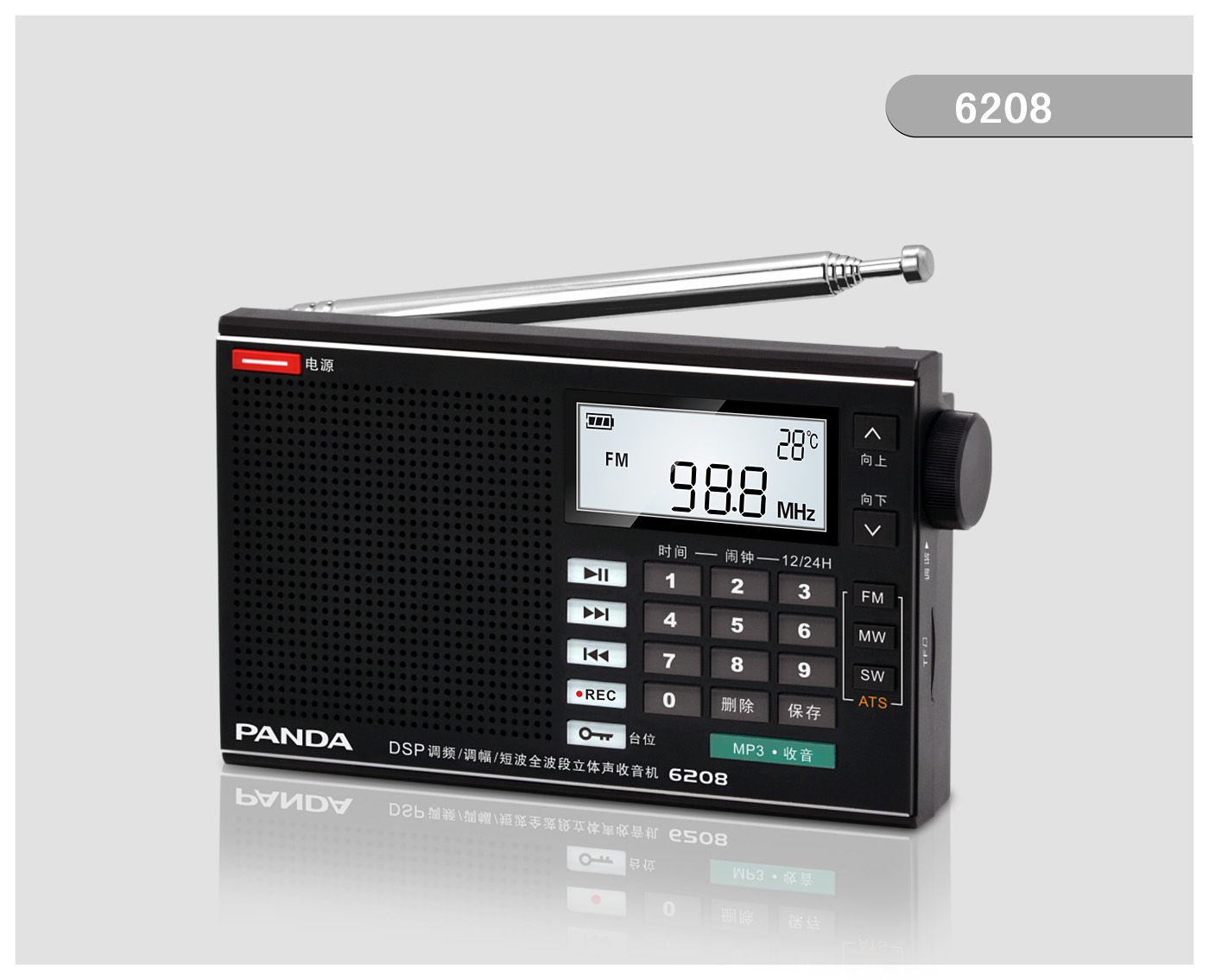 6208 AM/FM/SW DSP radio